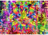 Bluebird Puzzle Gatto Meraviglioso - Puzzle Da 1000 Pezzi Gatto