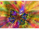 Puzzle Bluebird Farfalla Colorata - Puzzle 1000 Pezzi