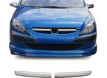 Modanature Griglia Radiatore Modanature Griglia Per Peugeot 307 2001-2005 Acciaio Inox Argento 2 Pezzi