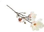 Countryfield Fiore Artificiale Magnolia Decorazione Giocattolo Crema 87Cm