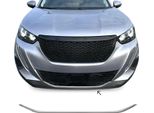Modanature Griglia Radiatore Modanature Griglia Per Peugeot 2008 2019-2025 Acciaio Inox Argento