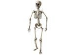 Scheletro In Piedi Scheletro Osseo Halloween 160 Cm Decorazione Per Feste