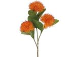 Fiore Artificiale Countryfield Carthamus Arancione Fiore Decorativo 86 Cm