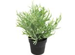 Pianta Artificiale Countryfield Platycerium Decorazione Verde 20X24Cm