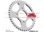 Pignone Esjot "15006"" 428, Acciaio, Nero 43 Denti"