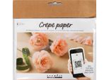 Creativ Company Cc Creative Mini Hobby Set Fiori Di Carta Crespa Garofani