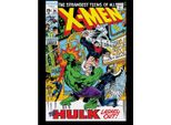 X-Men - Stampa Su Tela "Hulk Sfonda"" PM10632 (Taglia Unica) (A Colori)"