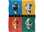 Harry Potter - Coperta "Bold"", Case Di Hogwarts TV19032 (Taglia Unica) (Colorato)"