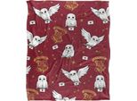 Harry Potter - Coperta, Lettera TV19008 (Taglia Unica) (Colorata)