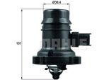 Termostato, Refrigerante Mahle Tm 37 103