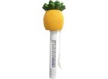 Termometro Galleggiante Con Cavo - Ananas