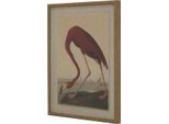 Hill Interiors - Quadro Da Parete "Flora & Fauna Collection"", Fiammeggiante HI5168 (50 Cm X 2 Cm X 40 Cm) (Colorato)"
