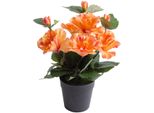 Kunstblume BOTANIC-HAUS "Hibiskus Im Topf", Orange (Pfirsich, Lachs), B:20Cm H:27Cm T:20Cm Ø:20Cm, Kunststoff, Kunstpflanzen