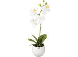 Orchidea Artificiale Bianca In Vaso Phalaenopsis Decorazione 33Cm