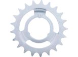 Pignone Esjot 21 Denti Argento