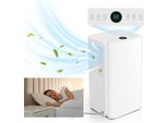 Jayseuw Luftentfeuchter Entfeuchtet 16L/Tag 20-25m³ - 2L - Timer, Raumentfeuchter | Dehumidifier