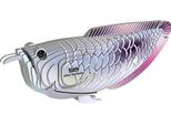 Pesce Arowana Silver Eugy. Eco Puzzle 3D