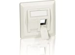 Equip Unterputzdose +Frontplatte 2 Keystone 45° Ral 1013 Polybeutel
