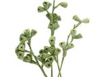 Ramoscello Di Eucalipto Smerigliato Verde - Ramoscelli Decorativi Per Corone Funebri E Decorazioni Per Tombe, Set Da 25, Realistico 20-33 Cm