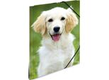 Herma Sammelmappe A3 Hunde Polypropylen