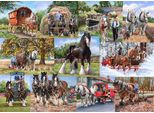 Casa Del Puzzle The Heavy Mob 1000 Teile Karton Tiere