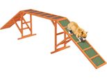 Pawhut Passerella Di Agilità Per Cani Con Barra Di Sicurezza, Superficie Antiscivolo Attrezzatura Di Agilità Per Giardino, Arancione