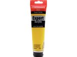 Amsterdam Serie Expert Tubo Di Vernice Acrilica 150 Ml Giallo Trasparente Medio 272