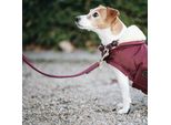 Guinzaglio Per Cani Kentucky Dogwear In Nylon Intrecciato 120 Cm Taglia L Bordeaux