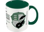 Harry Potter - Tazza Da Caffè "Orgoglio Della Casa Serpeverde"" PM2325 (Taglia Unica) (Verde/Bianco)"