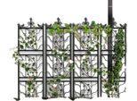 Traliccio Da Giardino, Design Elegante E Giocoso, Struttura Resistente In Metallo E Ferro, Nero