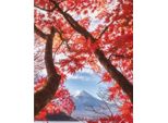 Pyramid International - Stampa Su Tela, Fuji PM6322 (50 Cm X 40 Cm) (Bianco/Rosso/Blu)