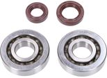 Kit Cuscinetti Hd E Paraoli Fkm Albero Motore Naraku Naraku Per Kymco/Sym Verticale Gr1