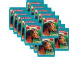 Cavalli - Il Mio Mondo Equestre - Adesivi Da Collezione - 20 Bustine