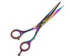 Forbici Da Taglio Per Capelli Da 6,0 Pollici - Forbici Da Parrucchiere - Forbici Per Capelli Con Rivestimento In Titanio