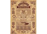 Harry Potter - Stampa Su Tela Con Cornice "Quidditch A Hogwarts"" PM9657 (40 Cm X 30 Cm) (Naturale/Marrone)"