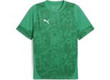 Puma Teamcup Maglia Da Allenamento Uomo Verde Argento Taglia M