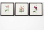 Homescapes Set Di 3 Quadri Incorniciati - Quadri Rosa, 30 X 30 Cm Ciascuno
