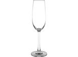 Olympia Modale Bicchieri Da Champagne In Cristallo 21,5Cl (6 Pezzi)