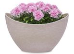 Fioriera Ovale 24 Cm Per Esterni Ciotola Decorativa Sabbia Beige Marmorizzato
