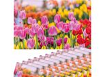 Set Di 12 Tovagliette Lavabili Con Fiori Di Tulipani Estivi Rosa