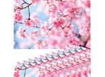 Set Di 12 Tovagliette Lavabili Con Fiori Di Ciliegio Primaverili