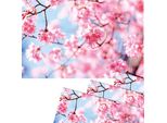 Set Di 4 Tovagliette Lavabili Con Fiori Di Ciliegio Primaverili