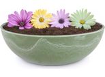 Fioriera Per Esterni Ciotola Decorativa Rotonda Verde Vintage 25 Cm