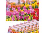Set Di 8 Tovagliette Lavabili Con Fiori Di Tulipani Estivi Rosa