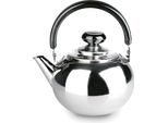 Bollitore Ibili Prisma Con Filtro 800Ml Argento Argento Taglia Unica