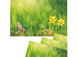 Tovagliette Lavabili Set Di 4 Fiori Di Pasqua Narcisi