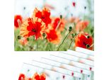 Set Di 8 Tovagliette Lavabili Con Fiori Di Papavero Estivi