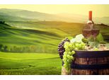 Fototapete PAPERMOON WEINBAU-WEIN TRAUBEN FELD WIESE WEIN SONNE LANDSCHAFT, bunt, B:3,50m L:2,60m, Vlies, Tapeten