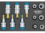 Set Di Attrezzi Meccanici Hazet 163-245/12