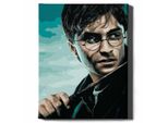 Oh Art! - Set Di Pittura Per Numeri Harry Potter - 40X50Cm, Con Cornice In Legno E Pennelli Fai Da Te
